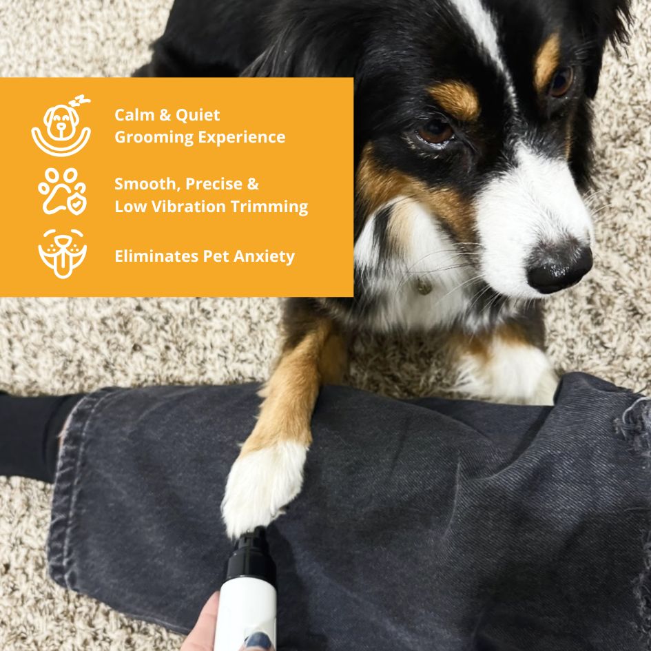 Silent Groom Pro ™